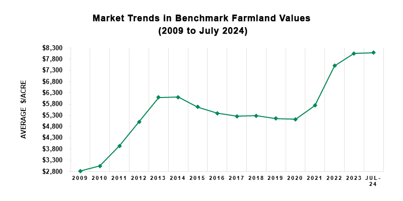 market trends benchmark july 2024