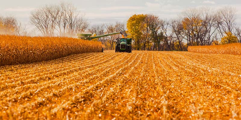 harvest landscape