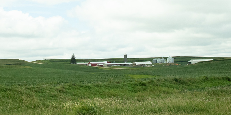 farm on a hillside